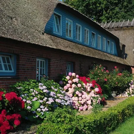 Strandhaus Falshöft 4 Apartment